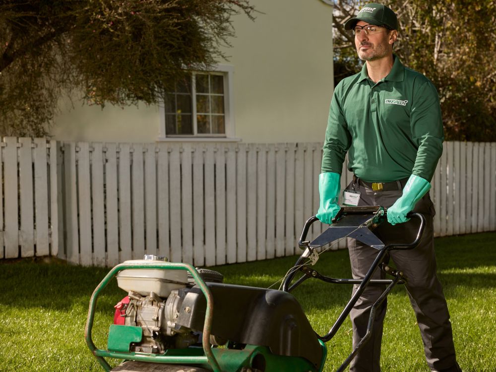 trugreen tree service in nevada